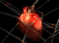 Как алкоголь влияет на сердце: польза и жаль?