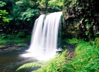 Как достаться к Агурский водопадов?