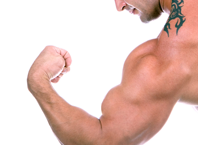 Как накачать руки в зале?