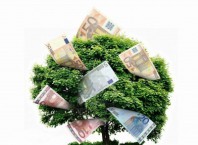 Как сделать денежное дерево?