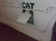 Как сделать двери в машине индивидуальной?