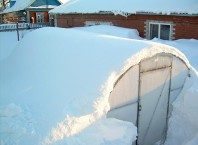 Как построить зимнюю теплицу?