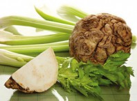 Как готовить корень сельдереи для салата?