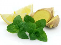 Имбирь и мятая для похудения: мятно-имбирный чай