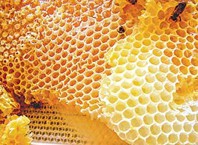 Как растопить пчелиный воск?