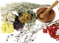 Как лечить опухоль народными средствами и методами?