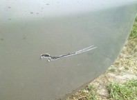 Как убрать царапины на кузове автомобиля после мойки автомобиля?